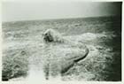 Storm at Lido 1953 | Margate History